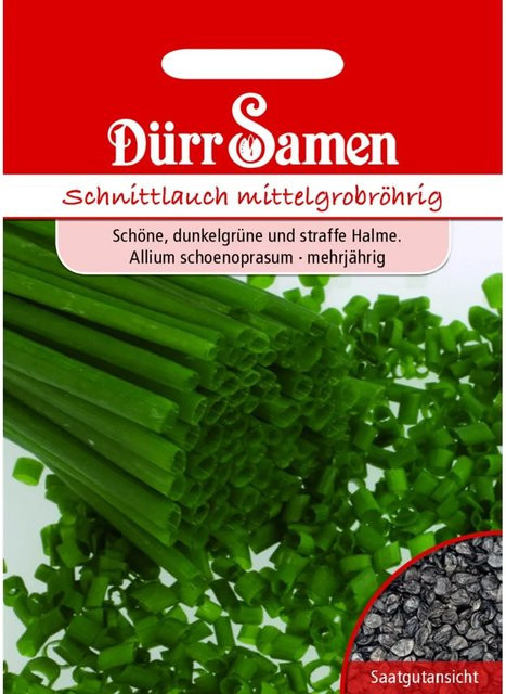 Dürr Schnittlauch Saatgut Miro für Frühsaat und Freiland - Bild 1