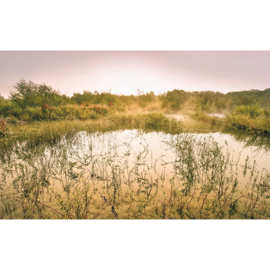 Komar Fototapete Vlies Morning View II Multicolor B: 400 cm, H: 250 cm - Bild 2