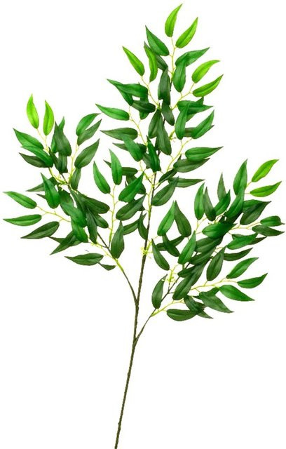 Mica Deko Ruscus Zweig in Grün, Höhe: 75 cm - Bild 1
