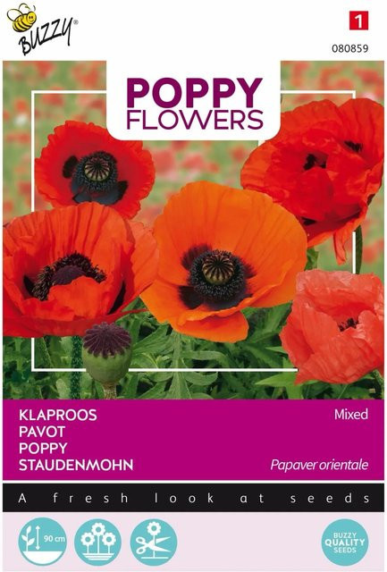 Arborix Orientalischer Mohn Buzzy Poppy Samen für bunte Blüten, 0,15 g - Bild 1