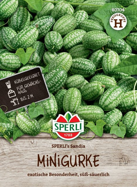 SPERLI Minigurken-Samen Sandia - Bild 1