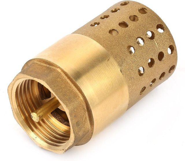Fishine Fußventil aus Messing mit Siebfilter und Rückschlagventil DN25 in Gold/Brassy - Bild 1