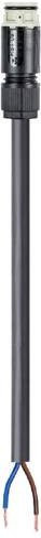 Wieland Electric Anschlussleitung Schwarz 4L.427.1037.8 - Bild 1