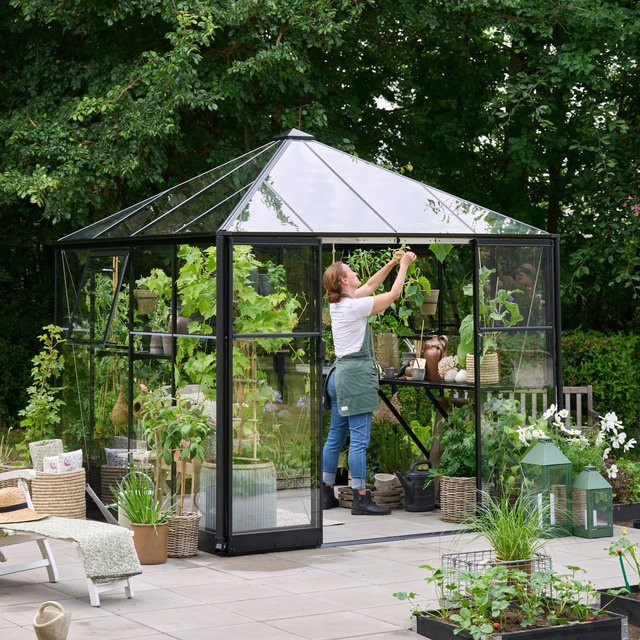 Halls Gewächshaus Qube Square 8 in Schwarz mit Sicherheitsglas und Aluminiumrahmen, 6,3 m² - Bild 1