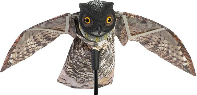 CosyHome Prowler Eule als bewegliche Vogelscheuche und Raubtier-Attrappe zur Schädlingabwehr in Grau und Multicolour - Bild 1