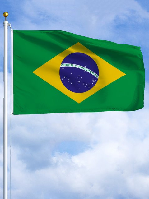 Brasilien Emblem Flagge GADSDEN Wandteppich aus Polyester, Mehrfarbig, Breite: 61 cm, Höhe: 91 cm - Bild 1