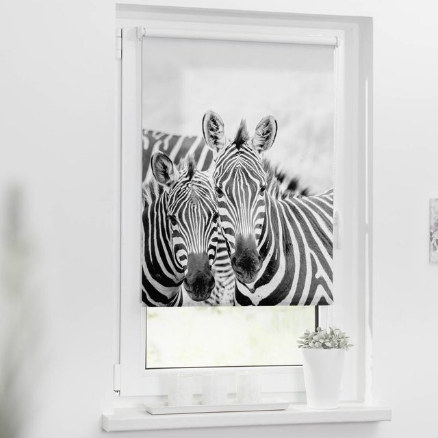 LICHTBLICK Zebra Rollo Day & Night Schwarz Weiss B: 120 cm, H: 150 cm - Bild 1