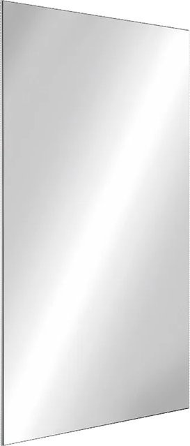 Delabie bruchsicherer Wandspiegel spiegelpoliert Transparent B/H: 59,5 x 98,0 cm - Bild 1