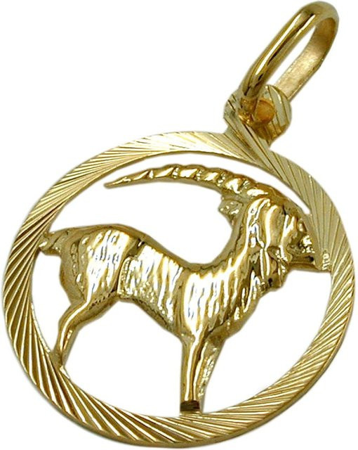 Gallay Anhänger Sternzeichen Steinbock, 375 Gold, 15 mm, Unisex - Bild 1
