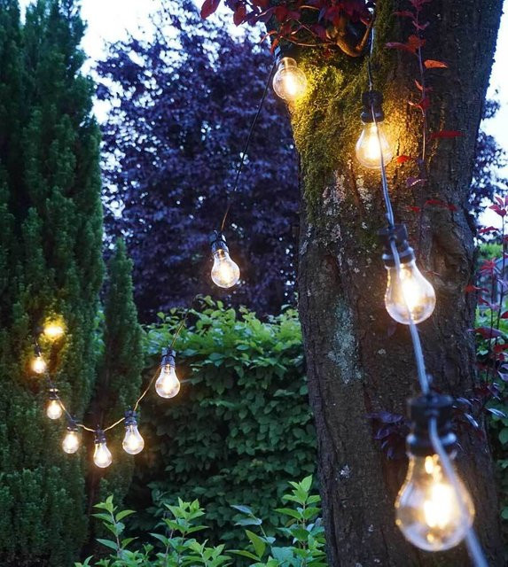 Retro LED Lichterkette mit 20 Filament Glühbirnen für Outdoor und Garten, 12,5 m, transparent - Bild 1