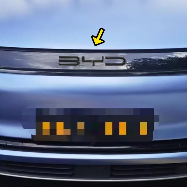 Schwarzer Frontgrill Hauben Emblem Brief Cover Trim Aufkleber für BYD Atto 3 Yuan Plus 2022-2024 - Bild 1