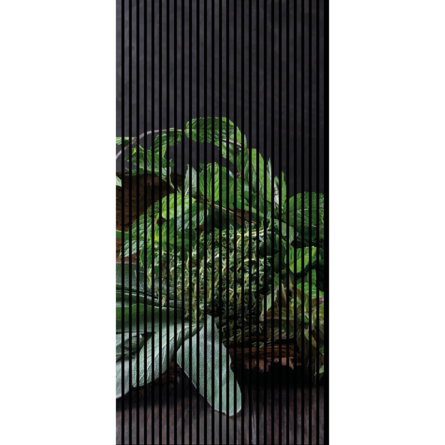 FN Acustico Akustikplatte Kräuter in Bunt, Material PET und MDF, selbstklebend, H x B x T: 2.400 x 1.133 x 19 mm - Bild 2