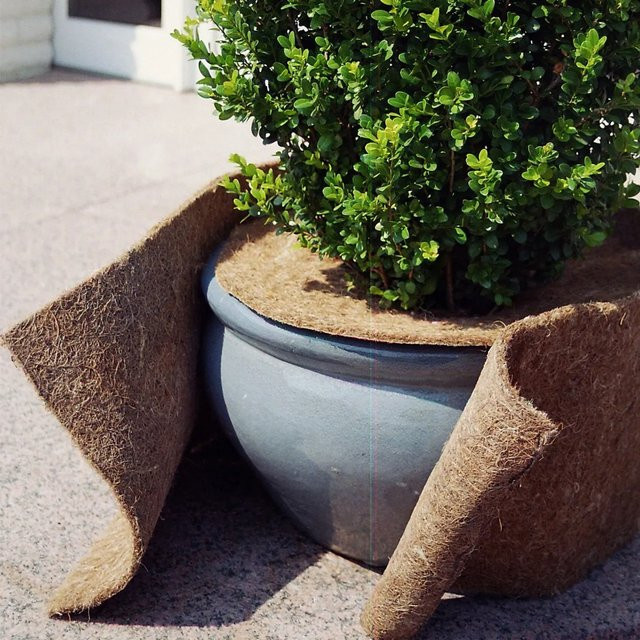 Videx Garden Kokosmatte Winterschutz Natur Braun B: 150 cm, T: 50 cm - Bild 1