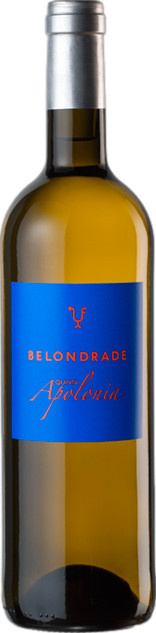 Belondrade Quinta Apolonia 2025 Weißwein, Verdejo, Rueda, 0,75 l - Bild 1