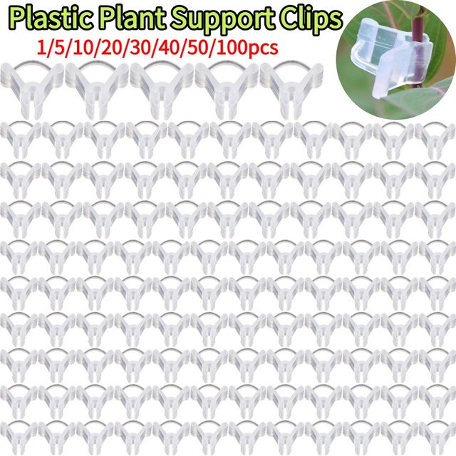 Transparente Pflanzenstützen aus Kunststoff als Garten Transplantat Clips zur Befestigung von Reben und Zweigen im Gewächshaus - Bild 1