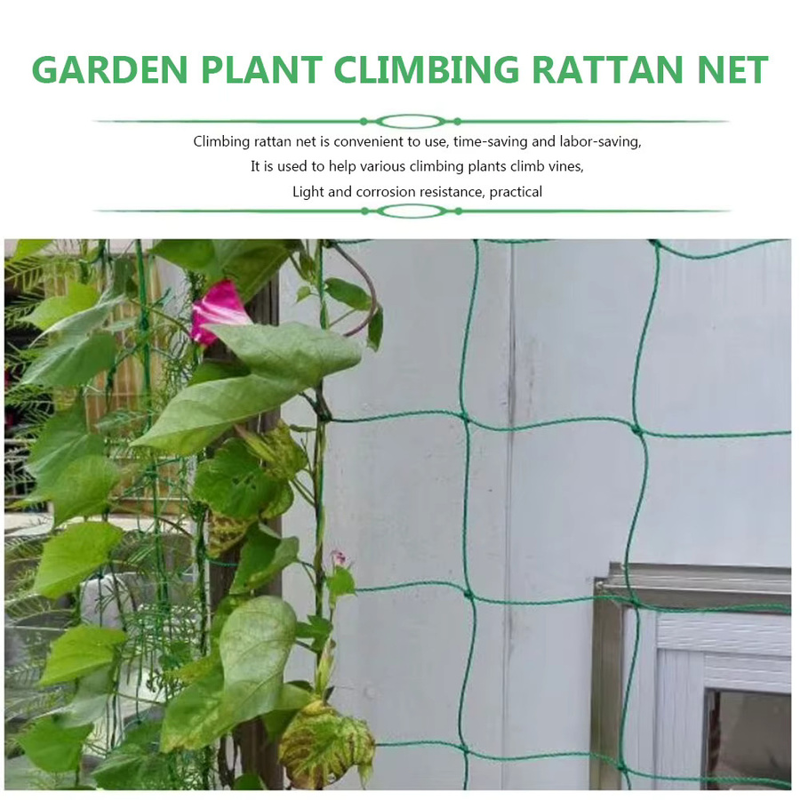 ALLOYSEED Klettergitter Rattan Netz in Grün als Verschleißfeste Rankhilfe für Gartenpflanzen und Gemüse wie Gurken und Wassermelonen - Bild 5