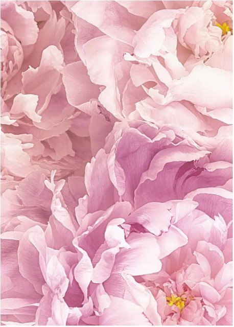 Komar Wandbild Soave Paper Poster B: 30 cm, H: 40 cm - Bild 1