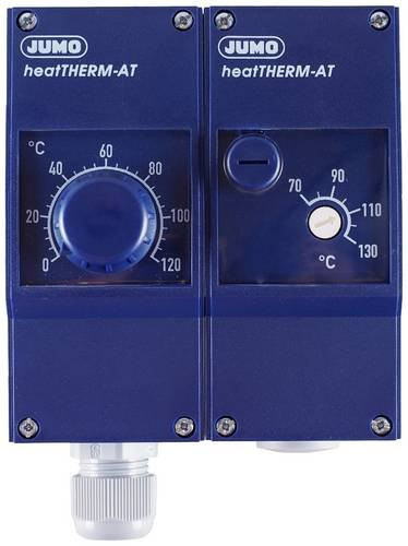 Jumo Doppelthermostat 60003196 in Blau mit Wandmontage und Kunststoffgehäuse - Bild 1