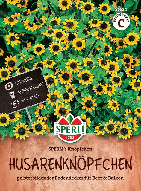 SPERLI Husarenknöpfchen-Samen Knöpfchen in Gelb - Bild 1