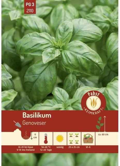 Pabst Keimkraft Basilikum Genoveser Saatgut für den Garten - Bild 1