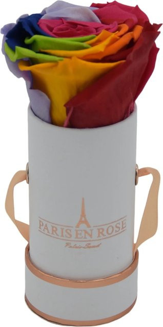 PARIS EN ROSE Rosenbox Weiß mit einer Rainbow Rose, Durchmesser: 5 cm - Bild 1