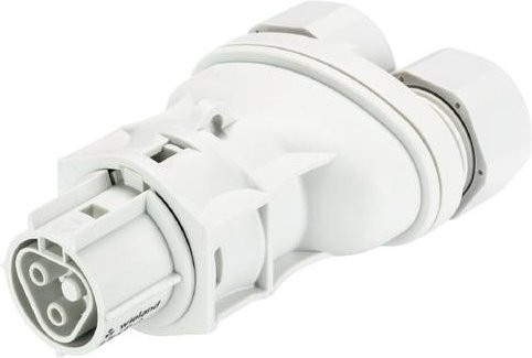 Wieland Electric 96.021.0353.0 Steckverbinder in Grau und Weiß - Bild 1