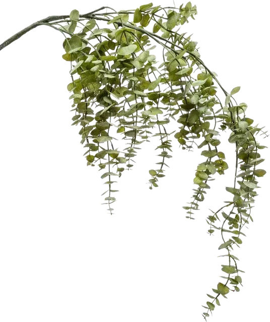 Künstlicher hängender Eucalyptus Zweig von Aplanta Guido, Höhe: 120 cm - Bild 1