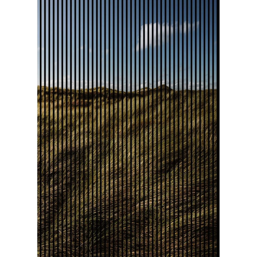 FN Acustico Akustikplatte Gras Bunt aus PET und MDF, B/H/T: 169,3 x 240,0 x 1,9 cm - Bild 2