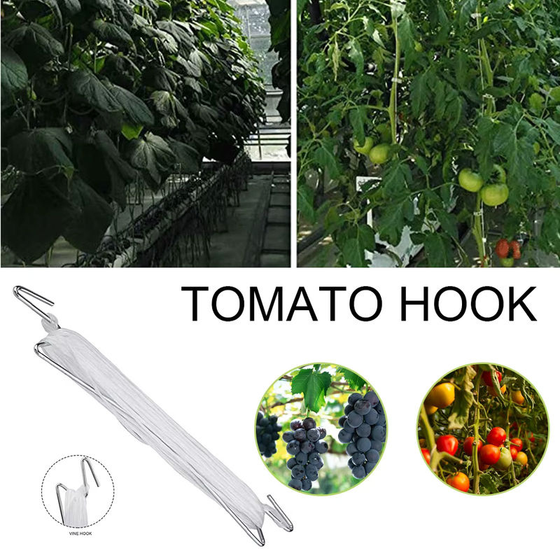 10er Set Pflanzhaken mit 10m Schnur und Rollern aus Eisen in Weiß zur Unterstützung von Tomaten und Gemüse im Gewächshaus - Bild 4