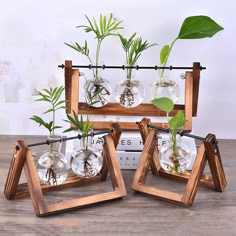 Vintage Hydrokultur Pflanzenvase aus Glas mit rundem Holzrahmen für Bonsai und Terrarium, transparent - Bild 1