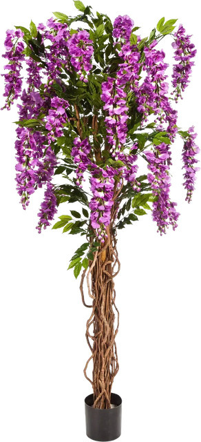 Künstliche Wisteria Liana Rita von Aplanta, Höhe: 180 cm - Bild 1