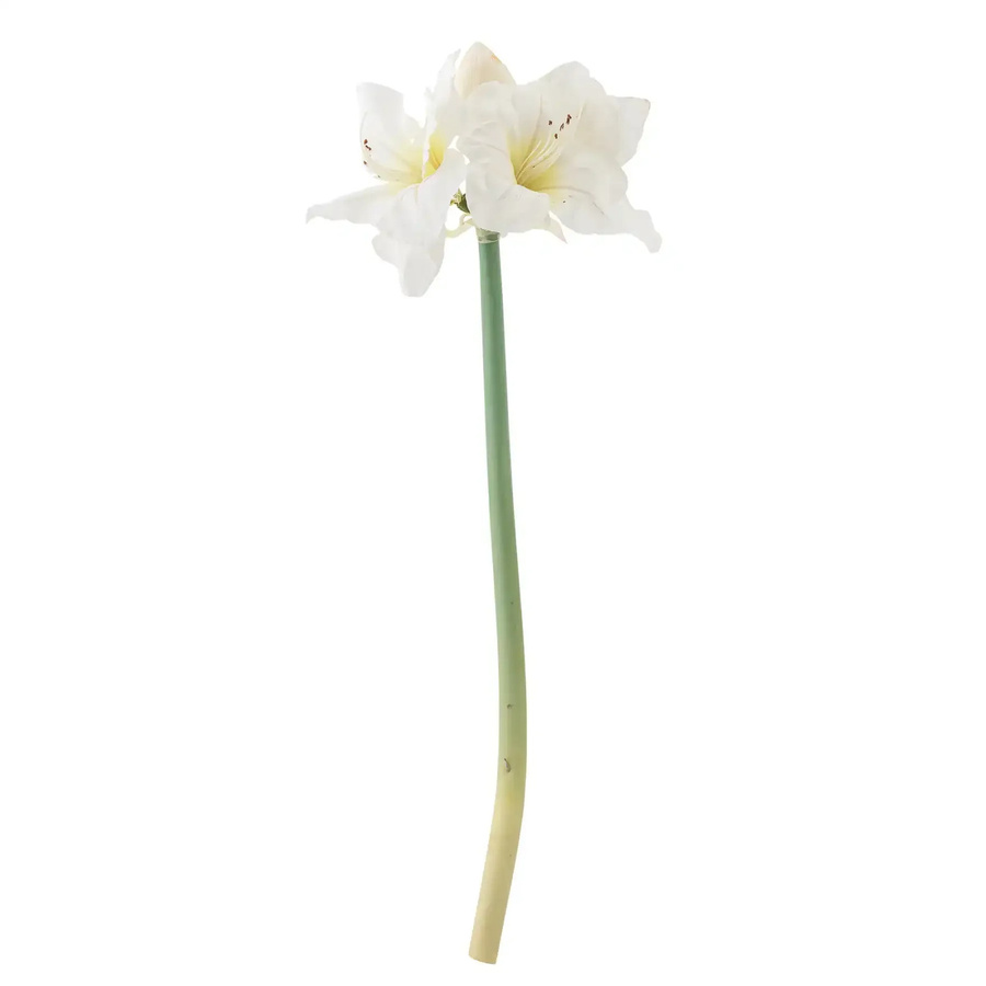 Bloomingville Amaryllisstiel in Weiß, Höhe: 74 cm - Bild 1