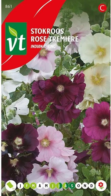 Arborix Stockrose Aubade Samen mit bunten Blüten, 0,2 g - Bild 1