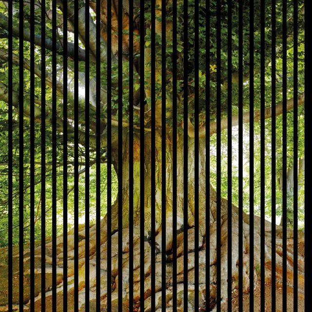 FN Acustico Akustikplatte Baum in Bunt aus PET und MDF, B/H/T: 113,3 x 19 x 119,5 cm - Bild 1