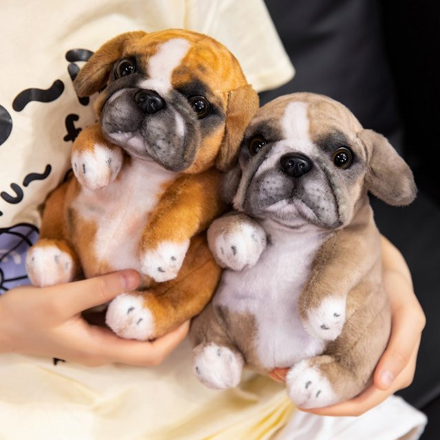 pangcangshu Pudel-Mops-Welpen-Plüschtier, braun, beige - Bild 1