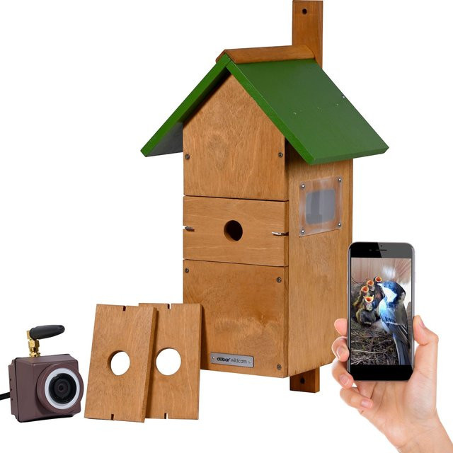 dobar Nistkasten Spitzdach Karsten mit Kamera und App-Steuerung - Bild 1