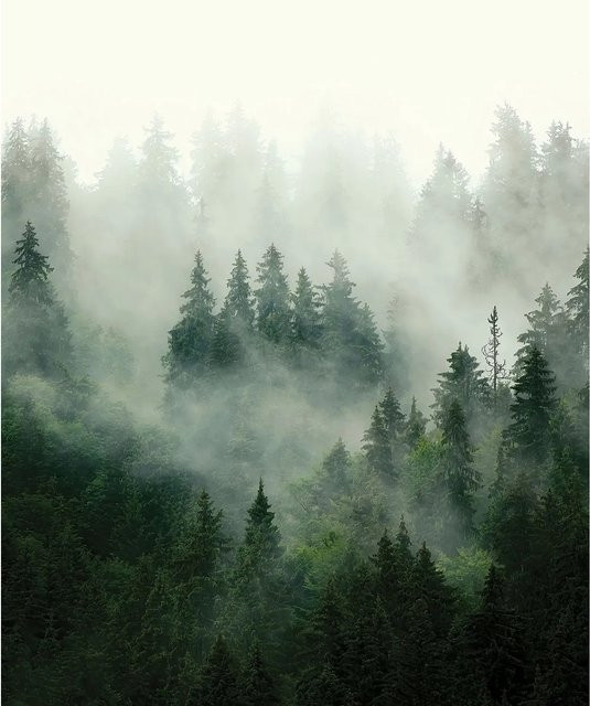 Sanders & Sanders Fototapete Berglandschaft mit Bäumen in Grün, Vliestapete, Breite: 225 cm, Höhe: 270 cm - Bild 1