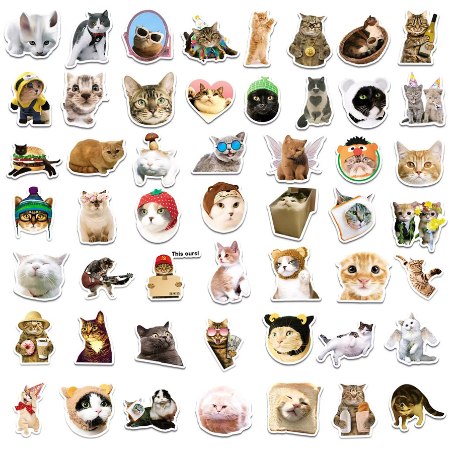 50 lustige und süße Katzen-Meme-Aufkleber von Anime Worlds Store in Multicolor für Wasserflaschen, Laptops und Handyhüllen - Bild 2