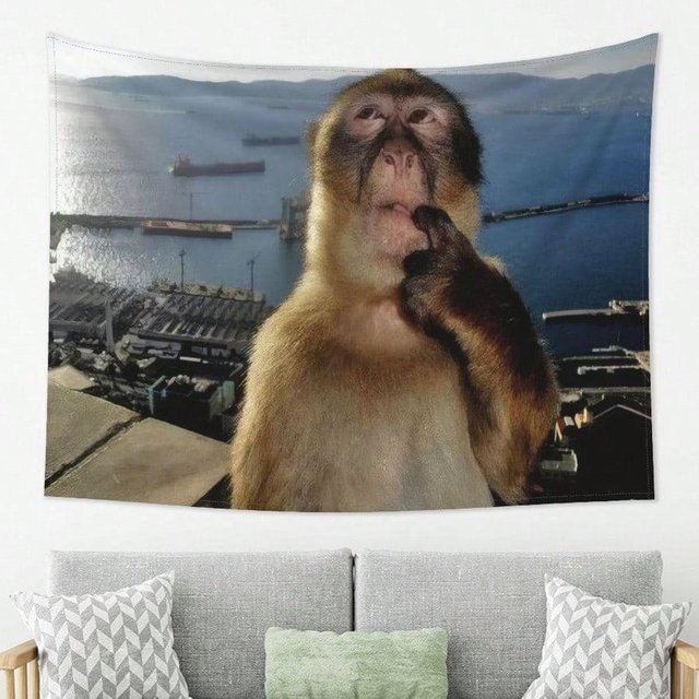 Affen-Meme Wandteppich aus Polyester von JMG Household Supplies, Mehrfarbig, B x H: 40 x 60 cm - Bild 1