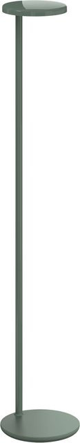 Flos Oblique F Stehleuchte in Grün mit modernem Design - Bild 1