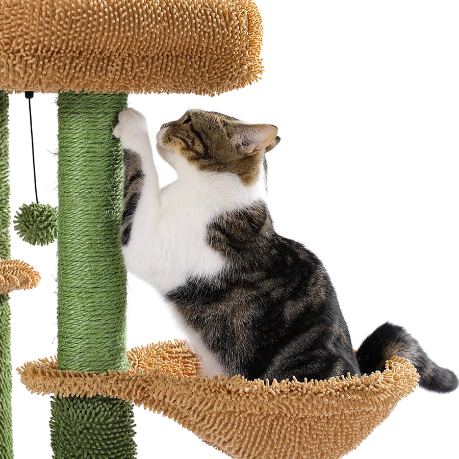 PEQULTI Kaktus-Kratzbaum für Katzen mit Korbliege, Höhle und Sisal-Elementen - Bild 4