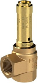 Riegler Eck-Sicherheitsventil für Sattdampf in Gold, Anschluss G 3/4, Ansprechdruck 3,5 bar - Bild 1