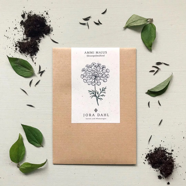 Jora Dahl Saatgut Knorpelmöhre Ammi majus - Bild 1