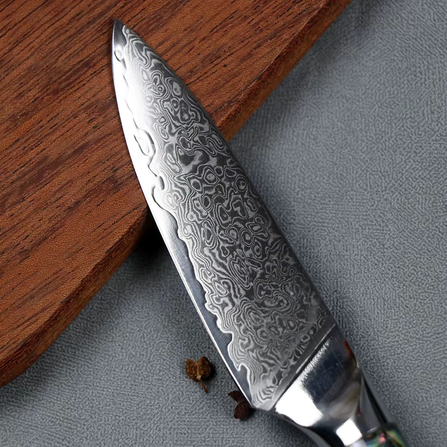 Jumcsong Damastmesser aus 10 Cr15 CoMoV Stahl, 3,5 Zoll Obstmesser mit Abalone Shell Griff in Multicolour - Bild 4