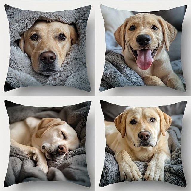 4-teiliges Kissenbezug-Set Labrador Motiv von JMG Clothing in Beige, B/H: 60 x 60 cm - Bild 1