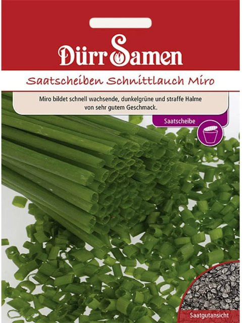 Dürr Schnittlauch Miro Saatscheiben Saatgut für Garten und Balkon - Bild 1