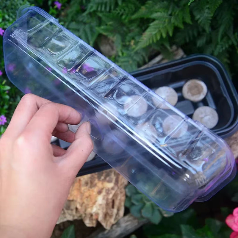 Transparente Samenschale aus Kunststoff mit 12 Zellen für die Anzucht von Pflanzen und Sämlingen im Garten, B: 25,9 cm, T: 10,92 cm, H: 12,0 cm - Bild 3