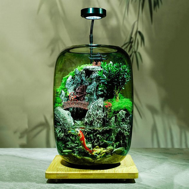 Miflame Glas-Aquarium für Hydrokultur-Pflanzen als Desktop-Dekoration, transparent - Bild 1