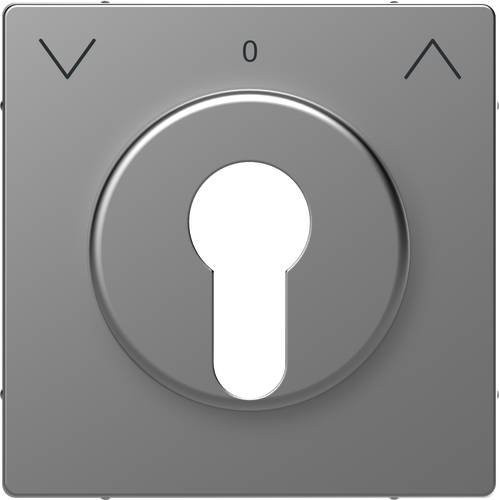 Merten Abdeckung System Design aus Edelstahl in Silber/Grau MEG3883-6036 - Bild 1