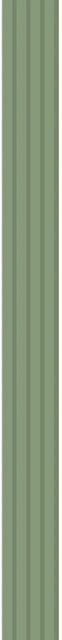 FN Neuhofer Wandverkleidung Wally Tiger in Pistazie, 5er-Pack, Breite: 18 cm, Länge: 267 cm - Bild 1